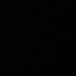 Meet your Posher, Dillon